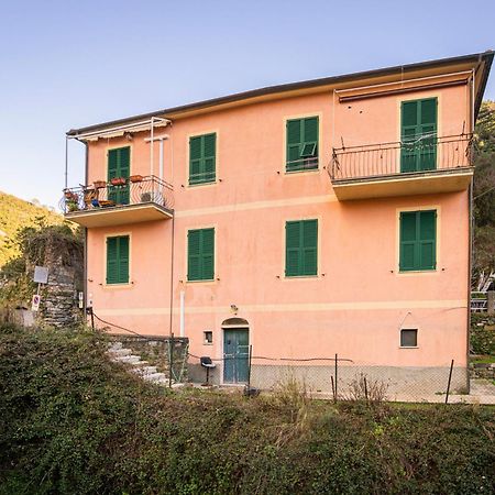 Il Limoneto Dei Cinque Sensi,Apartment With Garden 베르나차 외부 사진
