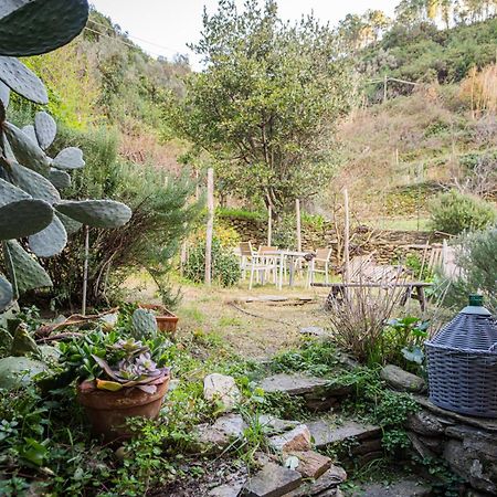 Il Limoneto Dei Cinque Sensi,Apartment With Garden 베르나차 외부 사진