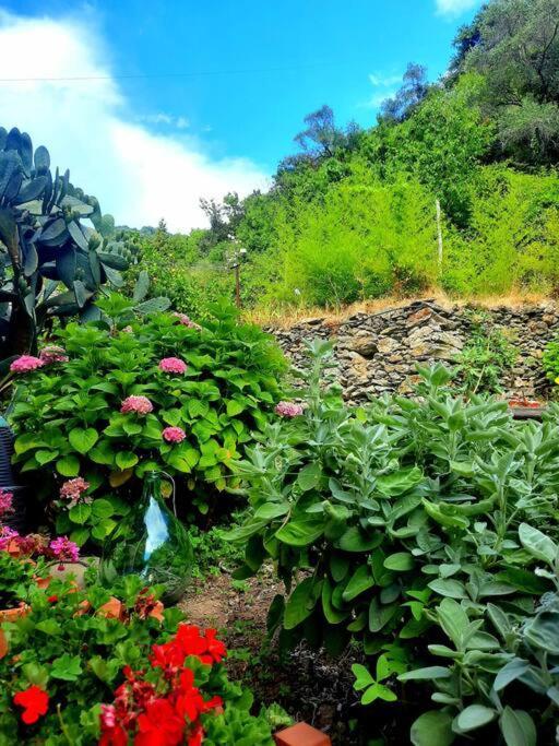 Il Limoneto Dei Cinque Sensi,Apartment With Garden 베르나차 외부 사진