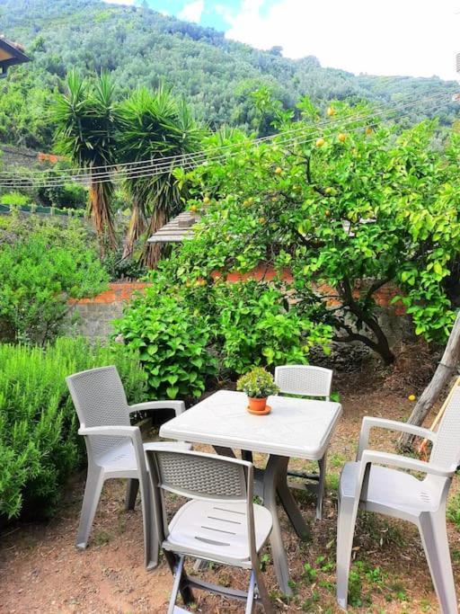 Il Limoneto Dei Cinque Sensi,Apartment With Garden 베르나차 외부 사진