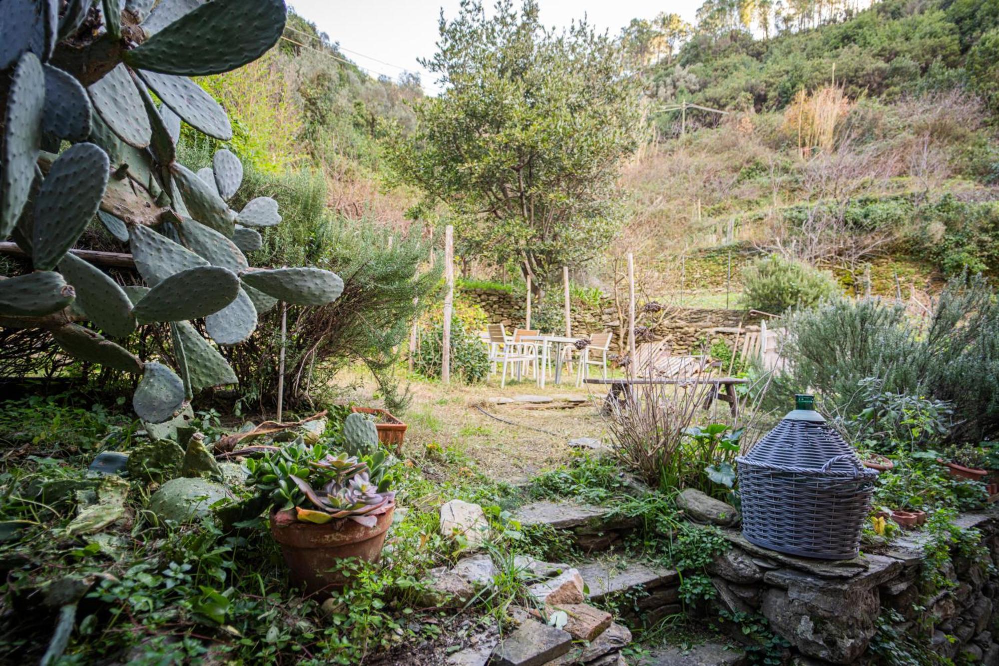 Il Limoneto Dei Cinque Sensi,Apartment With Garden 베르나차 외부 사진