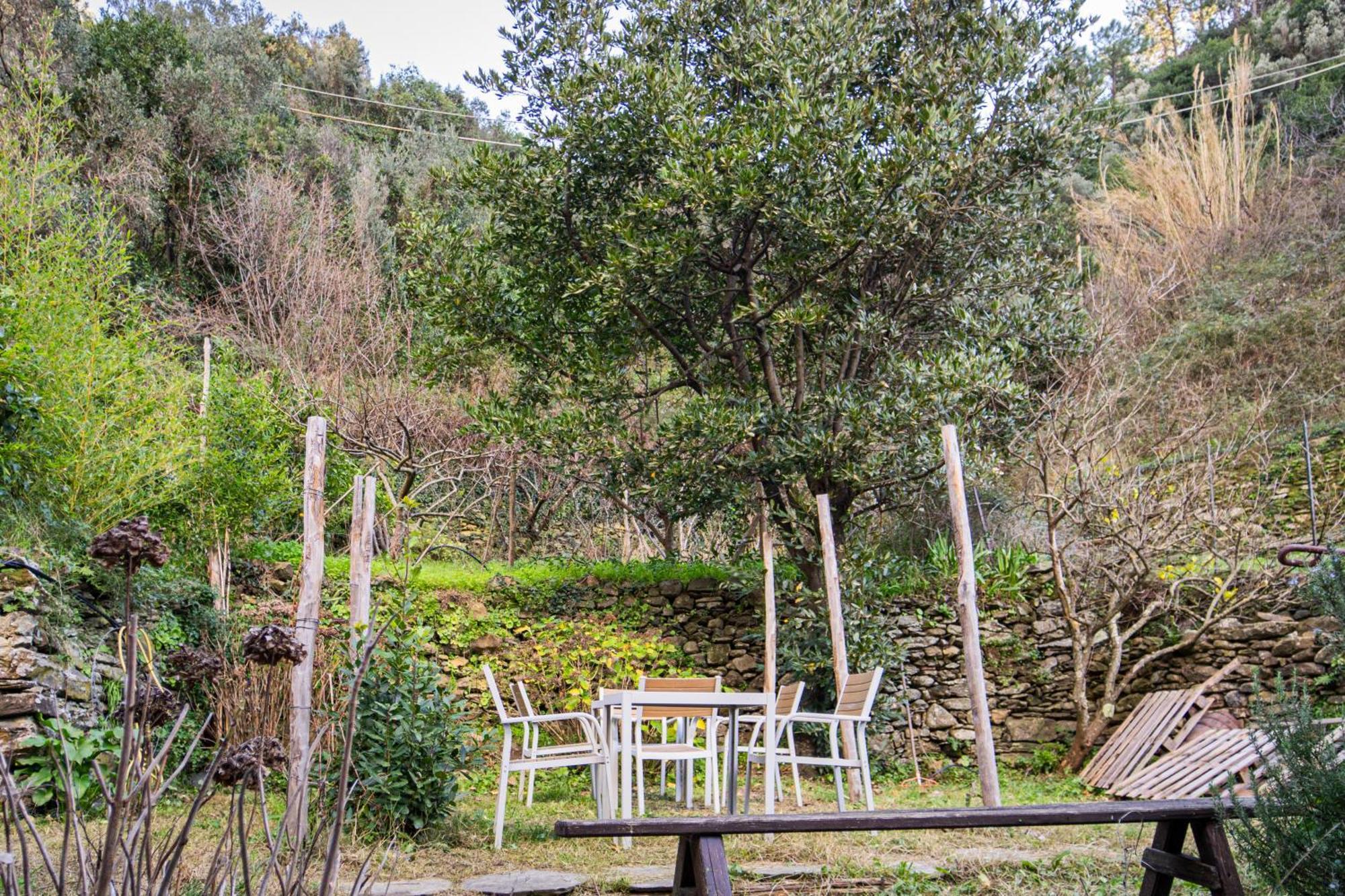 Il Limoneto Dei Cinque Sensi,Apartment With Garden 베르나차 외부 사진